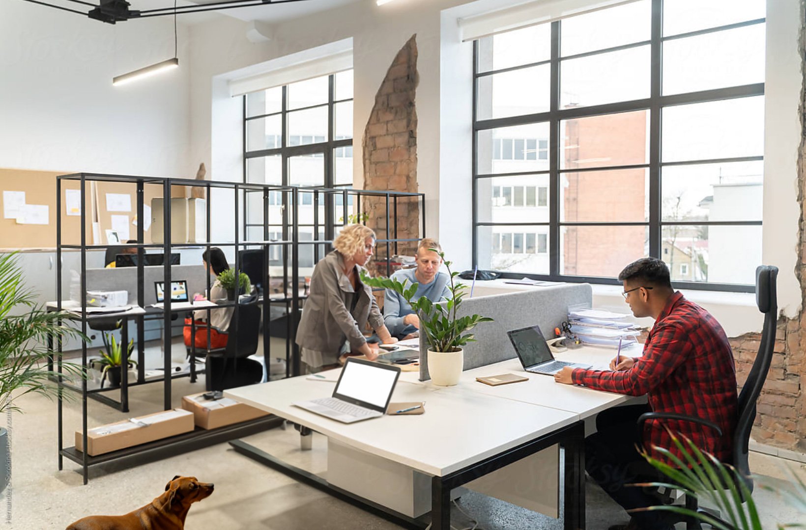 feature-the-agency